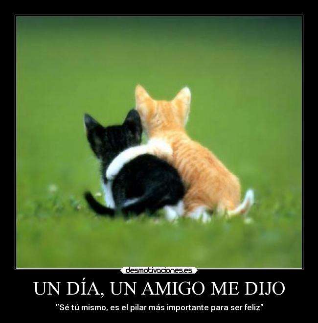 UN DÍA, UN AMIGO ME DIJO - Sé tú mismo, es el pilar más importante para ser feliz