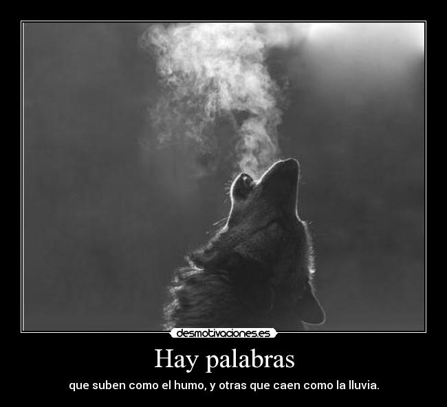 Hay palabras -
