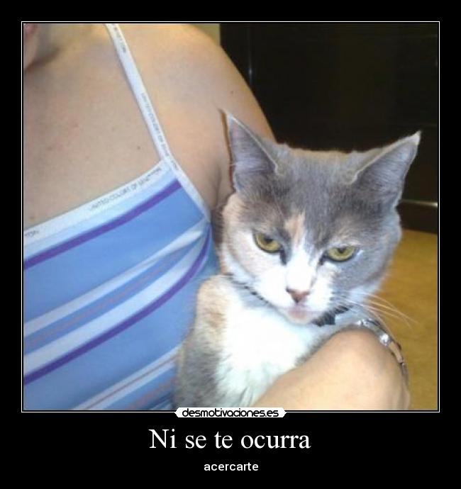 Ni se te ocurra - acercarte