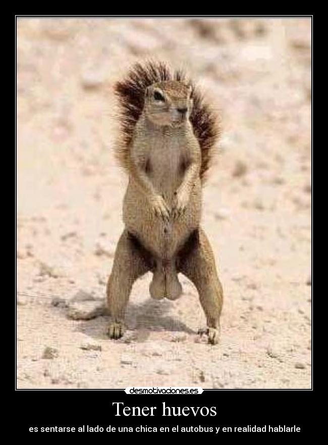 Tener huevos -