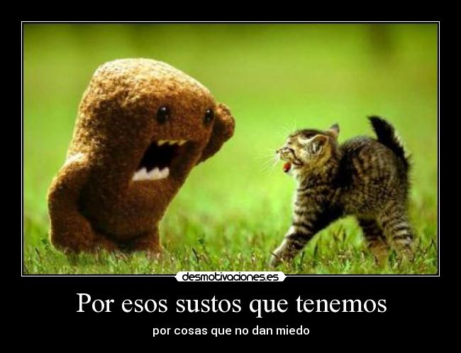 Por esos sustos que tenemos - por cosas que no dan miedo