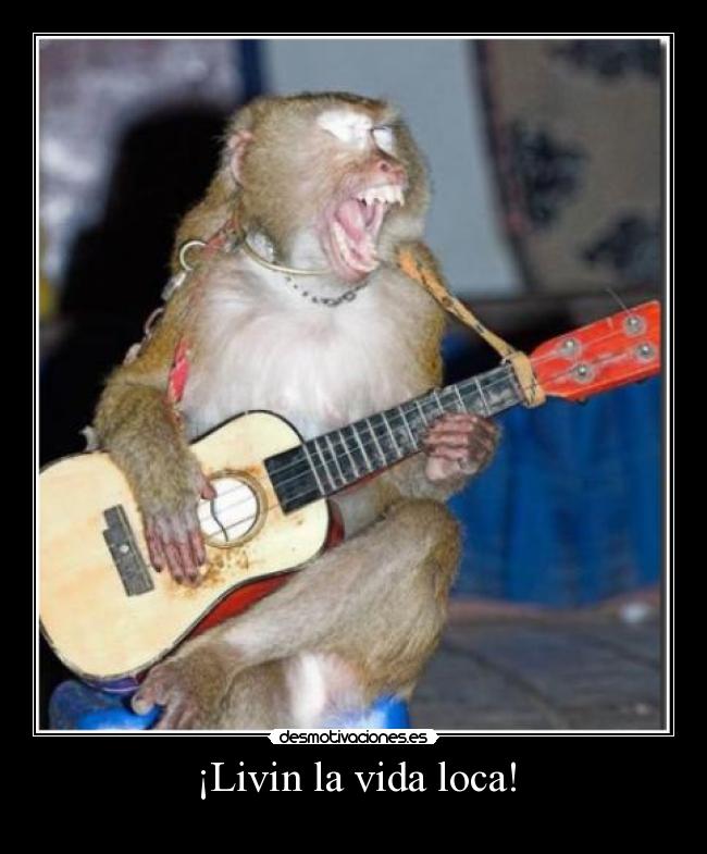 ¡Livin la vida loca! - 