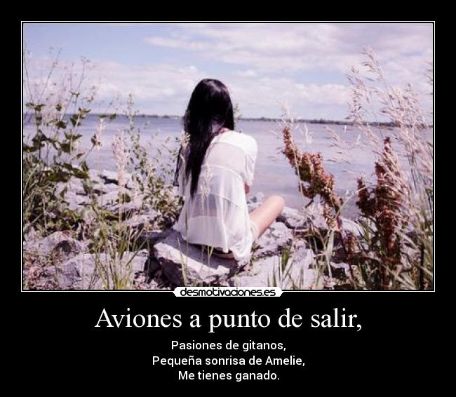 carteles pereza amelie desmotivaciones