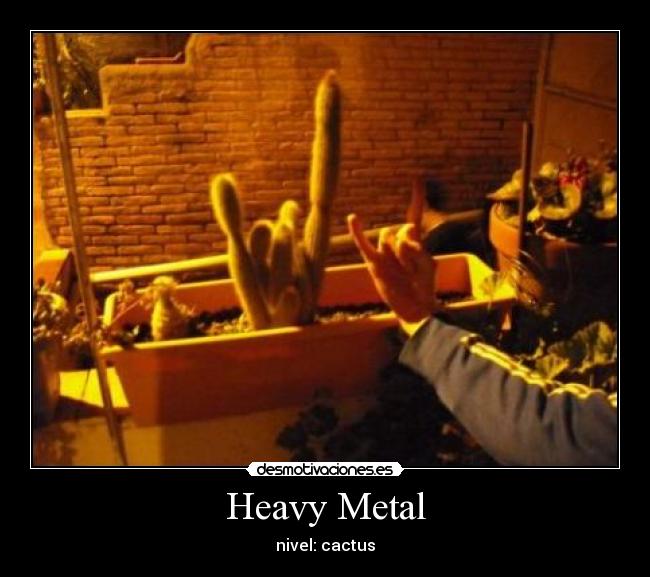 Heavy Metal - nivel: cactus