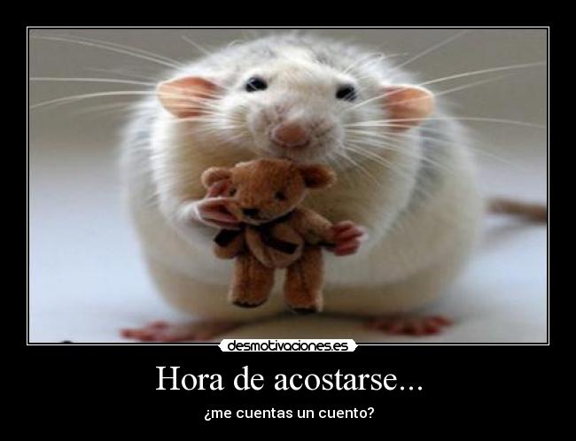 Hora de acostarse... -