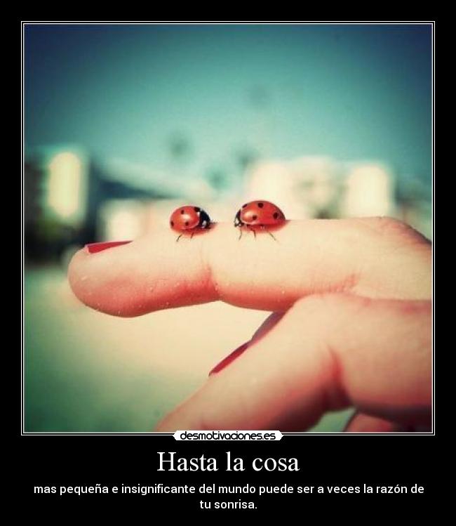 Hasta la cosa - mas pequeña e insignificante del mundo puede ser a veces la razón de tu sonrisa.