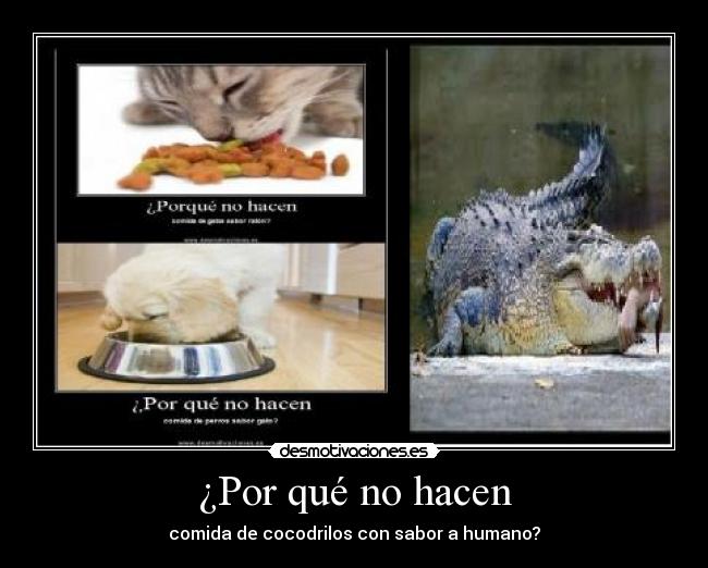 ¿Por qué no hacen - comida de cocodrilos con sabor a humano?