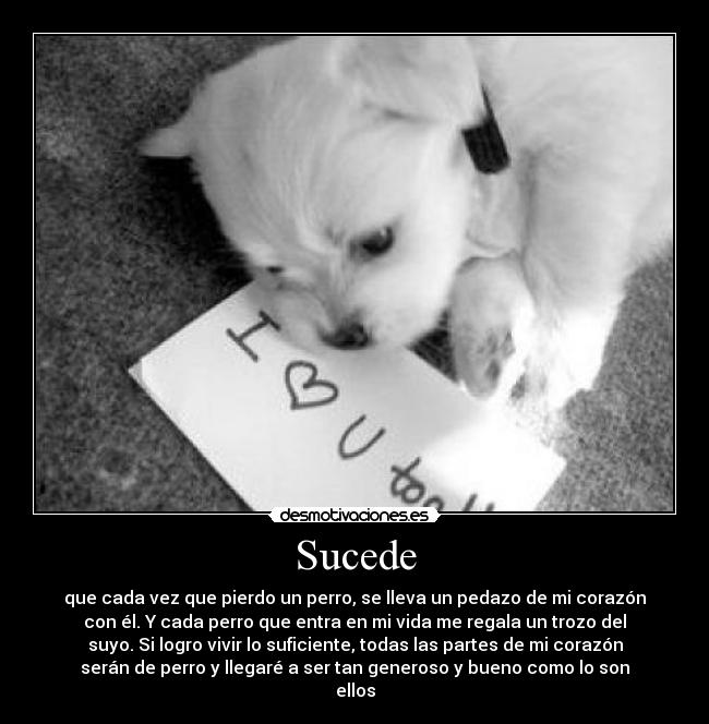 carteles perros desmotivaciones