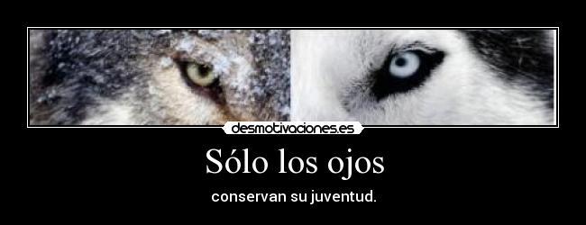 Sólo los ojos -