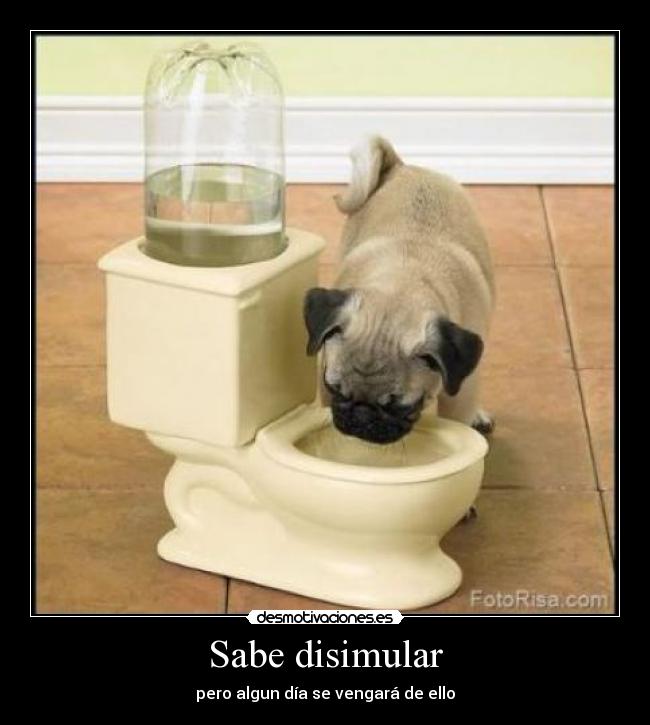 Sabe disimular -
