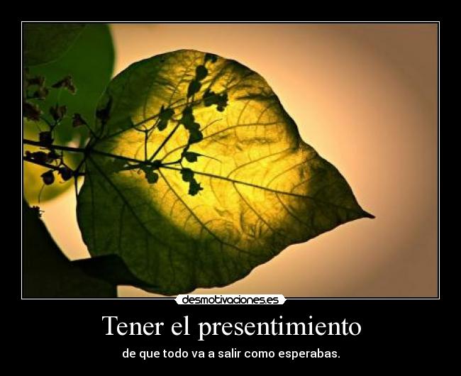 carteles presentimientotototototootto pimientototototo desmotivaciones