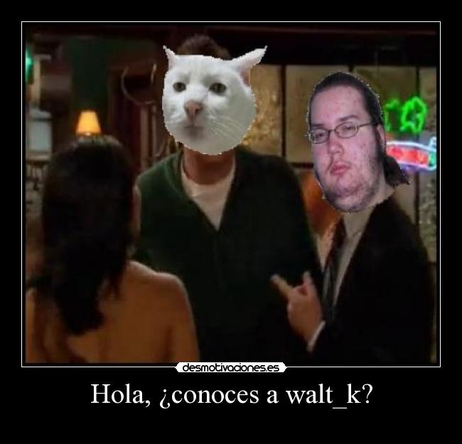 Hola, ¿conoces a walt_k? - 