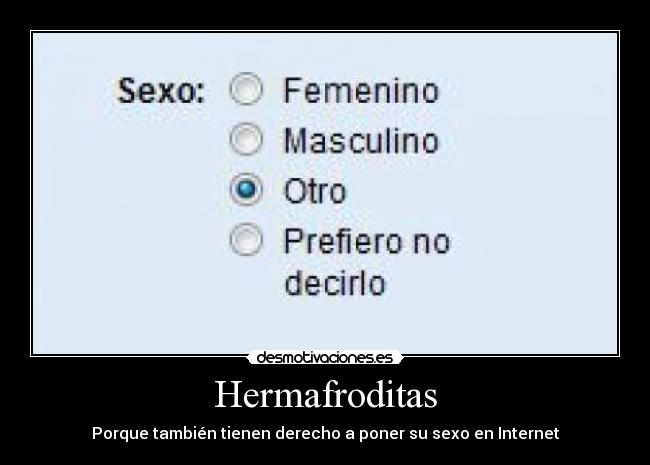 Hermafroditas - 
