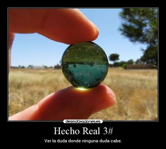 Hecho Real 3# -
