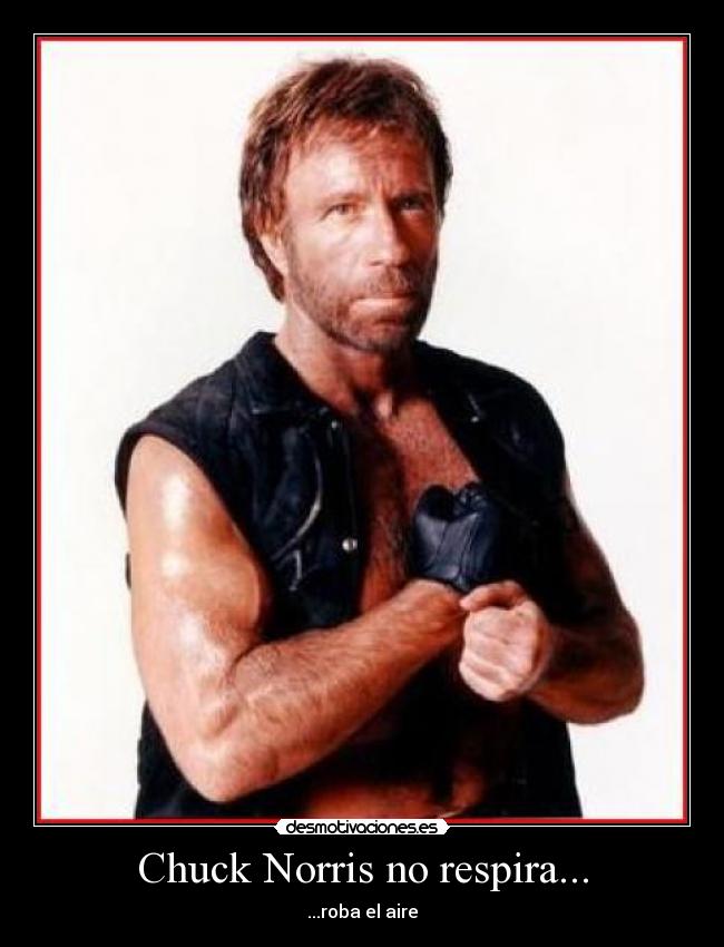 carteles chuck norris desmotivaciones