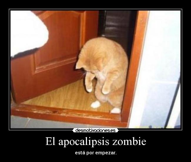 carteles apocalipsis zombie desmotivaciones