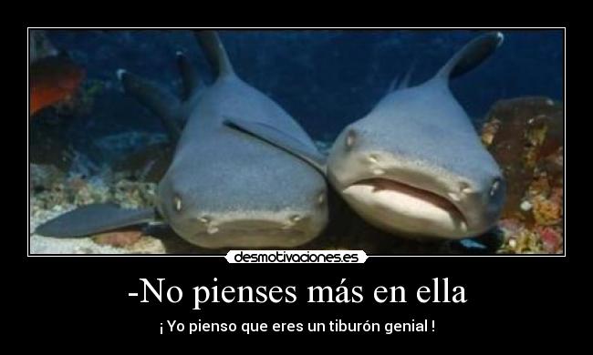 -No pienses más en ella - ¡ Yo pienso que eres un tiburón genial !