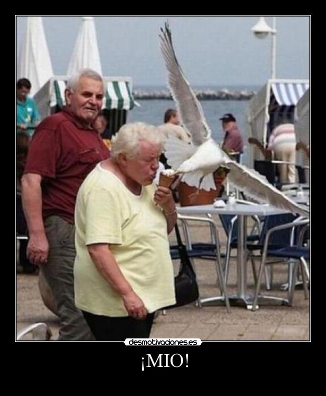 ¡MIO! -
