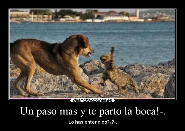 Un paso mas y te parto la boca!-. - Lo has entendido?¿?-.