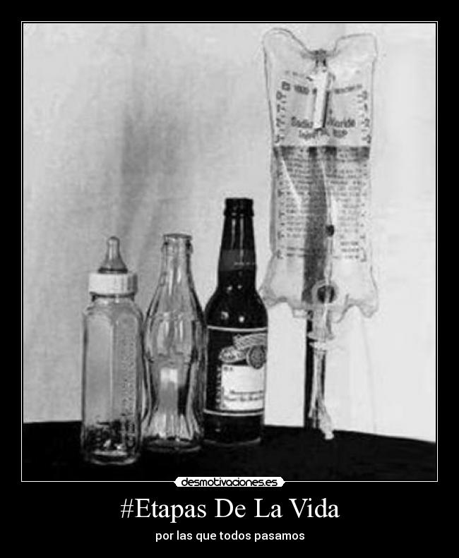 carteles vida etapas vida desmotivaciones