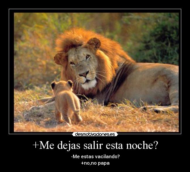 +Me dejas salir esta noche? -