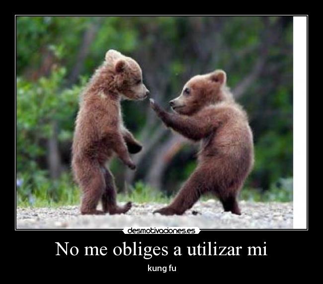 No me obliges a utilizar mi - kung fu
