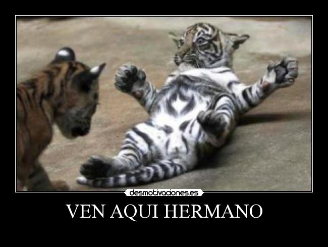 VEN AQUI HERMANO -