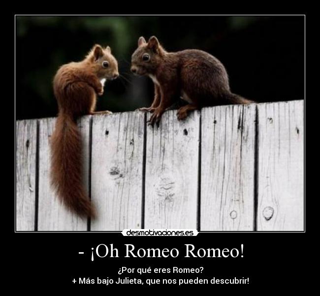 - ¡Oh Romeo Romeo! - ¿Por qué eres Romeo?
+ Más bajo Julieta, que nos pueden descubrir!