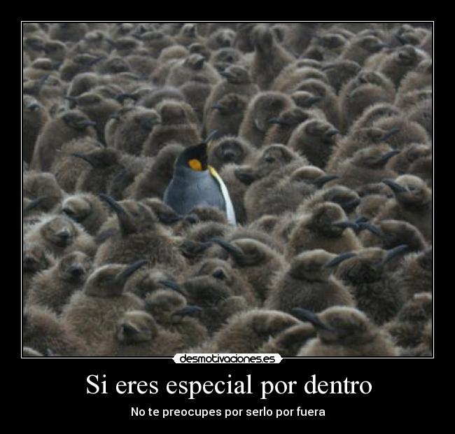 Si eres especial por dentro - No te preocupes por serlo por fuera