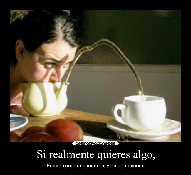 carteles excusa desmotivaciones