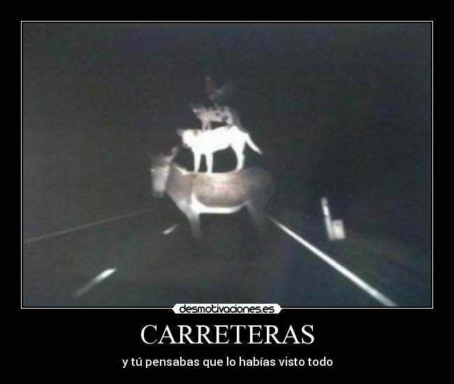 CARRETERAS -