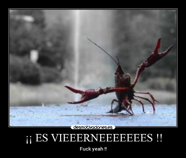 ¡¡ ES VIEEERNEEEEEEES !! -