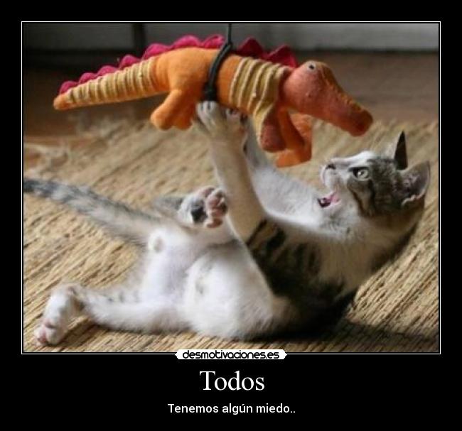 Todos - Tenemos algún miedo..