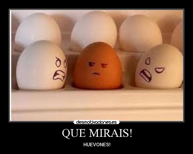 QUE MIRAIS! - HUEVONES!
