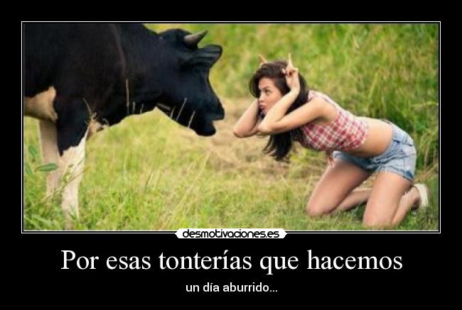 Por esas tonterías que hacemos - 