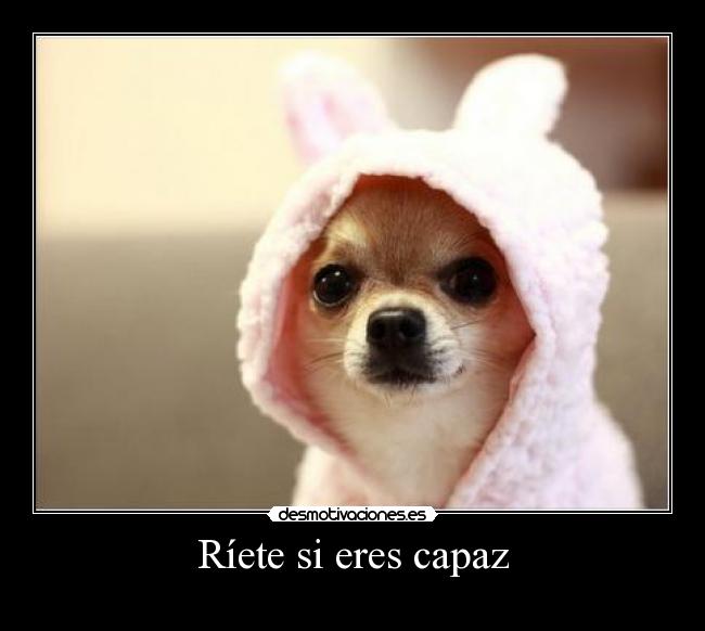 Ríete si eres capaz - 