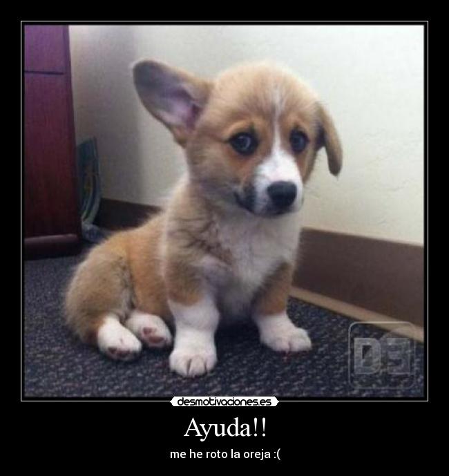 Ayuda!! - 