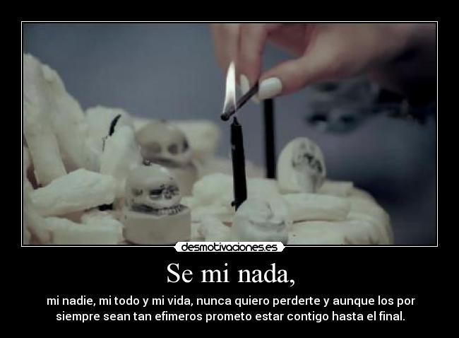 Se mi nada, - mi nadie, mi todo y mi vida, nunca quiero perderte y aunque los por
siempre sean tan efimeros prometo estar contigo hasta el final.