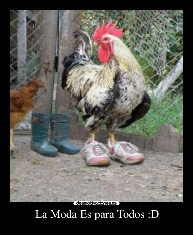 carteles jajaja desmotivaciones