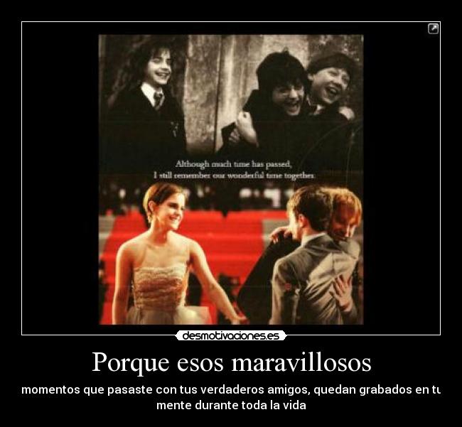 Porque esos maravillosos - 