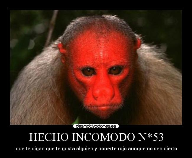 carteles hecho desmotivaciones