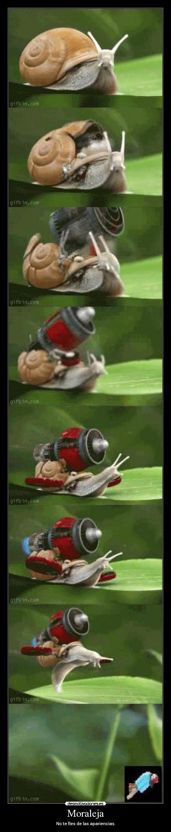 Moraleja - No te fíes de las apariencias.