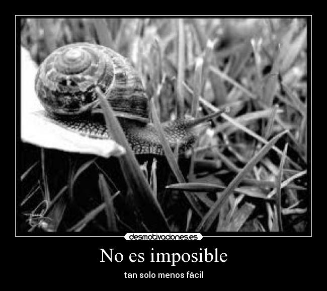 No es imposible - 