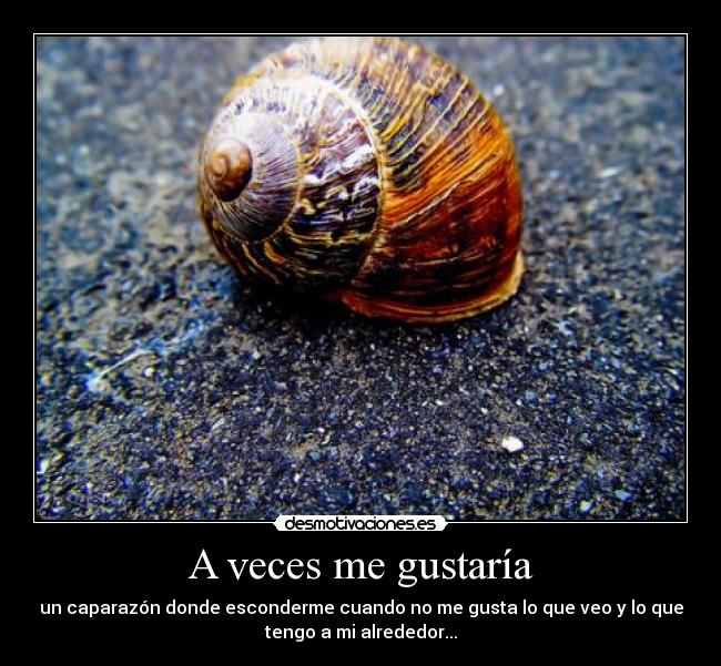 A veces me gustaría -