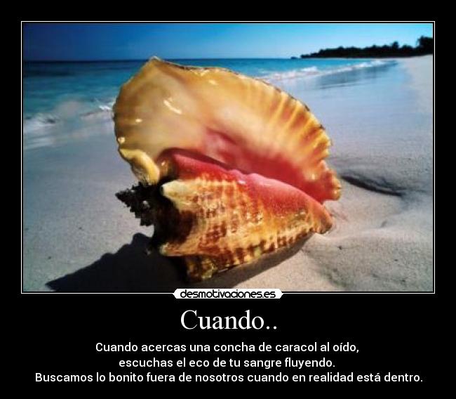 Cuando.. - Cuando acercas una concha de caracol al oído,
escuchas el eco de tu sangre fluyendo.
Buscamos lo bonito fuera de nosotros cuando en realidad está dentro.