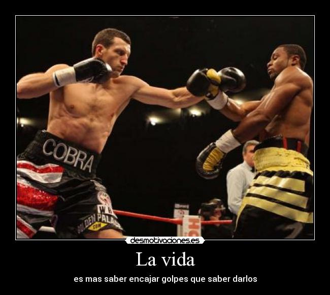 La vida - es mas saber encajar golpes que saber darlos