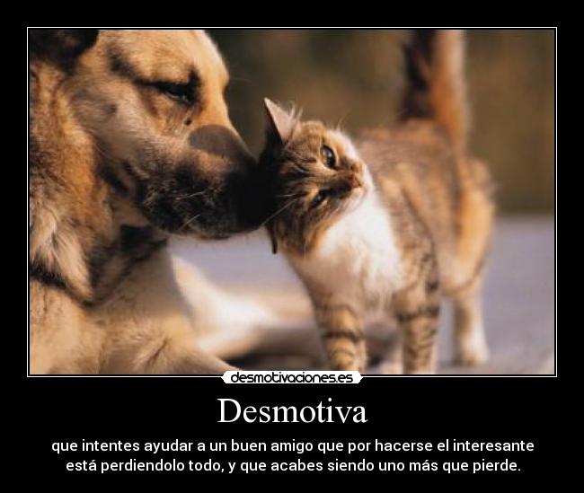 Desmotiva - que intentes ayudar a un buen amigo que por hacerse el interesante
está perdiendolo todo, y que acabes siendo uno más que pierde.