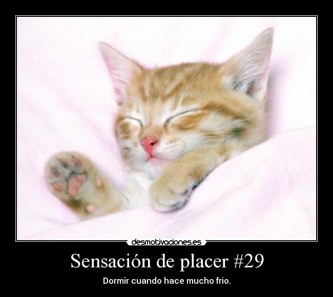 Sensación de placer #29 -