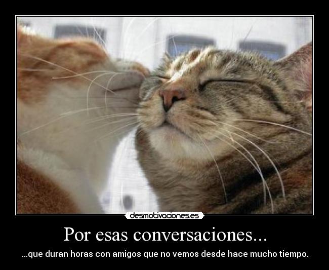 Por esas conversaciones... -