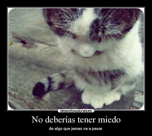 No deberías tener miedo -